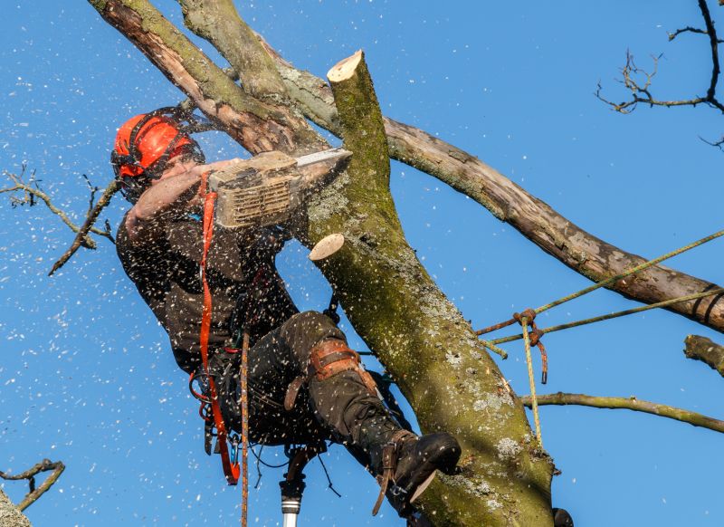 Removing Dangerous Branches