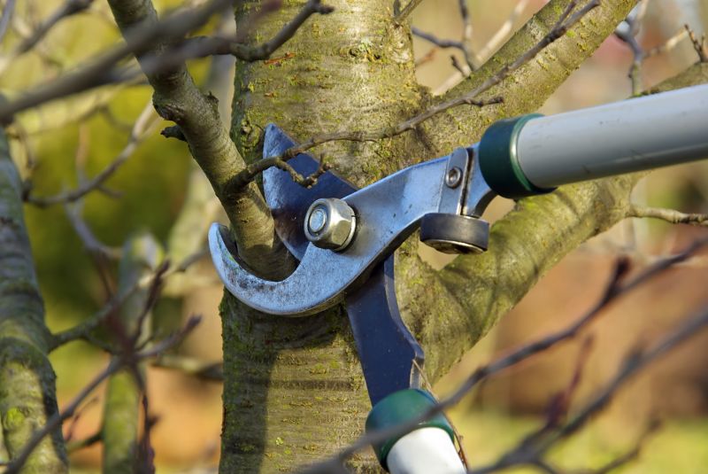 Disposal of prunings